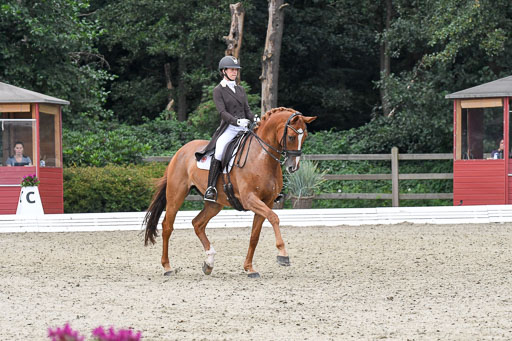 Anakenenhof    Dressur  25.08.2023 | Anakenenhof Prfg 3_260 