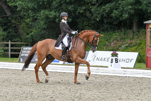 Anakenenhof    Dressur  25.08.2023 | Anakenenhof Prfg 3_262 