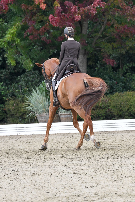 Anakenenhof    Dressur  25.08.2023 | Anakenenhof Prfg 3_266 