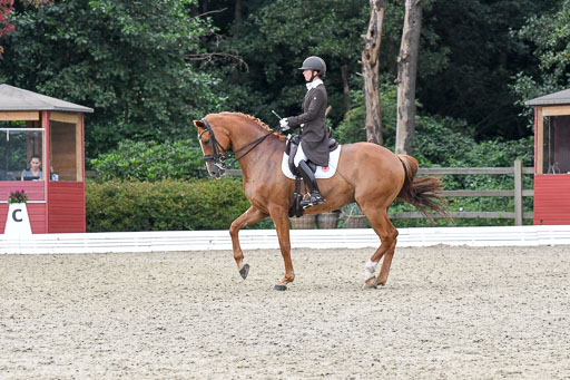Anakenenhof    Dressur  25.08.2023 | Anakenenhof Prfg 3_268 