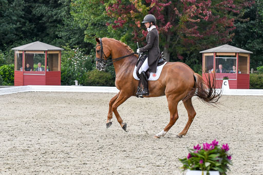 Anakenenhof    Dressur  25.08.2023 | Anakenenhof Prfg 3_284 