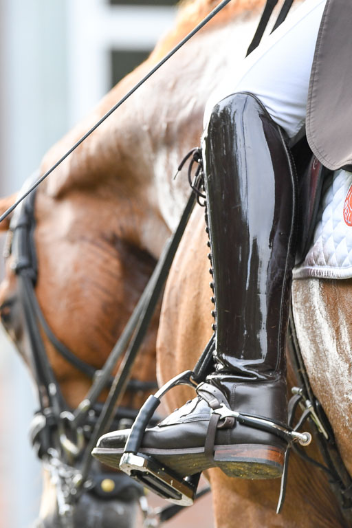Anakenenhof    Dressur  25.08.2023 | Anakenenhof Prfg 3_289 