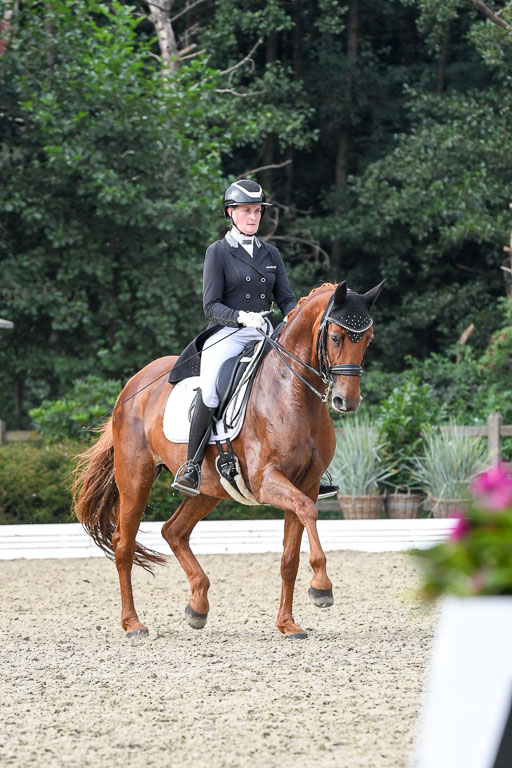 Anakenenhof    Dressur  25.08.2023 | Anakenenhof Prfg 3_294 