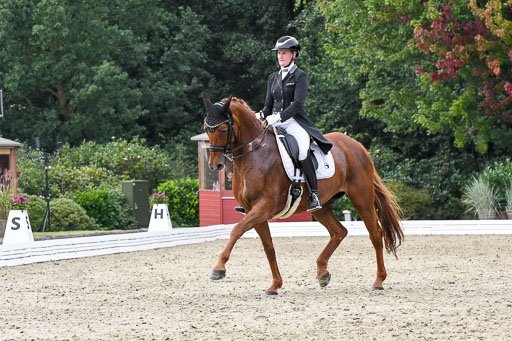 Anakenenhof    Dressur  25.08.2023 | Anakenenhof Prfg 3_317 