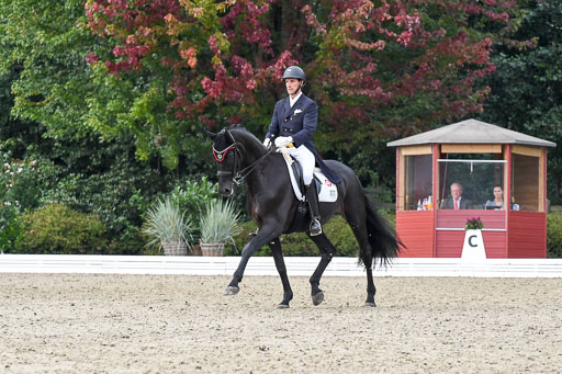 Anakenenhof    Dressur  25.08.2023 | Anakenenhof Prfg 3_329 