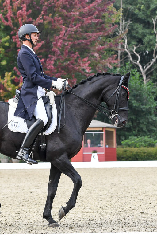 Anakenenhof    Dressur  25.08.2023 | Anakenenhof Prfg 3_330 
