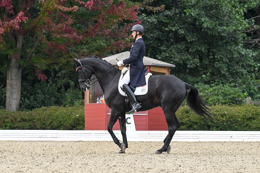 Anakenenhof    Dressur  25.08.2023 | Anakenenhof Prfg 3_332 