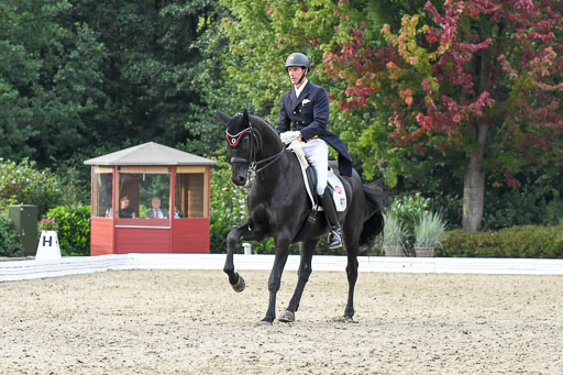 Anakenenhof    Dressur  25.08.2023 | Anakenenhof Prfg 3_335 