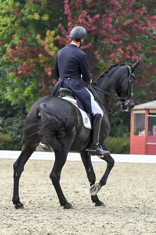 Anakenenhof    Dressur  25.08.2023 | Anakenenhof Prfg 3_336 