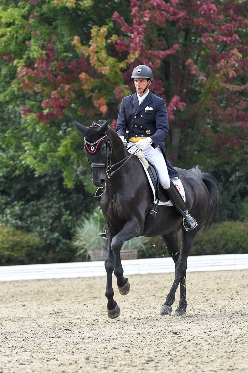 Anakenenhof    Dressur  25.08.2023 | Anakenenhof Prfg 3_338 