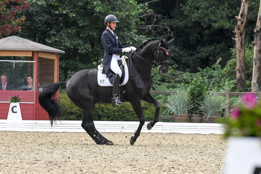 Anakenenhof    Dressur  25.08.2023 | Anakenenhof Prfg 3_342 