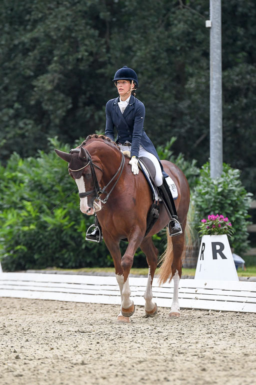 Anakenenhof    Dressur  25.08.2023 | Anakenenhof Prfg 3_349 