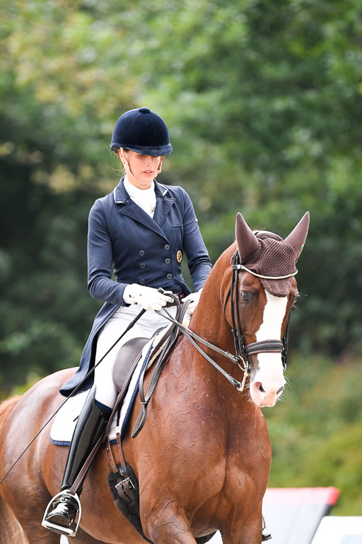 Anakenenhof    Dressur  25.08.2023 | Anakenenhof Prfg 3_351 