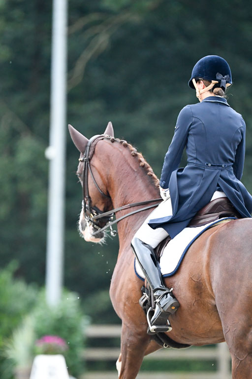 Anakenenhof    Dressur  25.08.2023 | Anakenenhof Prfg 3_373 