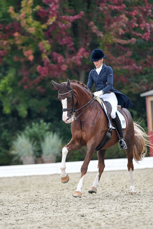 Anakenenhof    Dressur  25.08.2023 | Anakenenhof Prfg 3_375 
