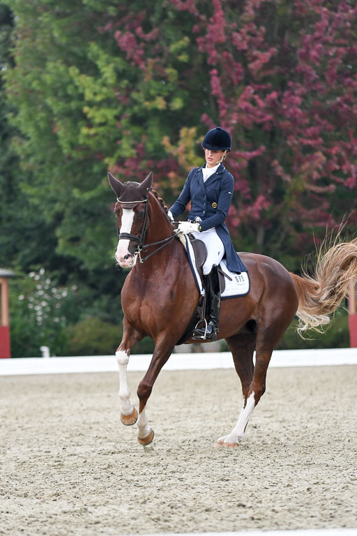 Anakenenhof    Dressur  25.08.2023 | Anakenenhof Prfg 3_382 