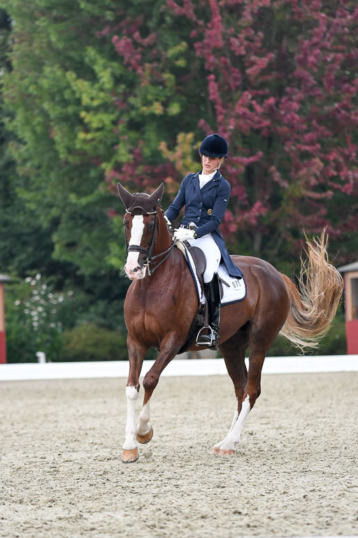 Anakenenhof    Dressur  25.08.2023 | Anakenenhof Prfg 3_383 