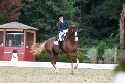 Anakenenhof    Dressur  25.08.2023 | Anakenenhof Prfg 3_385 