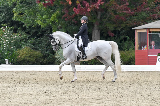 Anakenenhof    Dressur  25.08.2023 | Anakenenhof Prfg 3_417 
