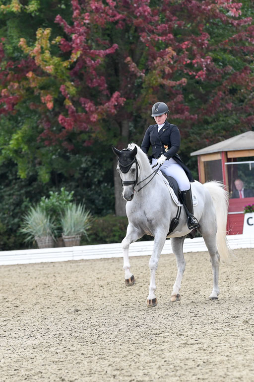 Anakenenhof    Dressur  25.08.2023 | Anakenenhof Prfg 3_422 