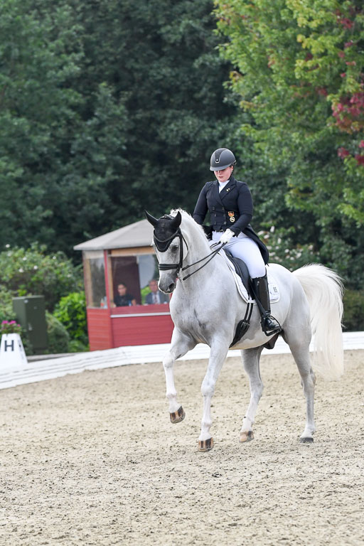 Anakenenhof    Dressur  25.08.2023 | Anakenenhof Prfg 3_425 