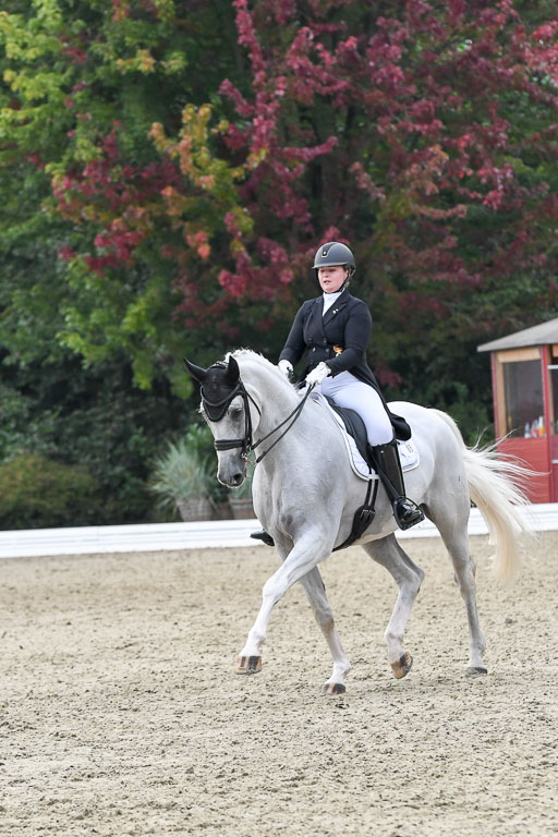 Anakenenhof    Dressur  25.08.2023 | Anakenenhof Prfg 3_427 