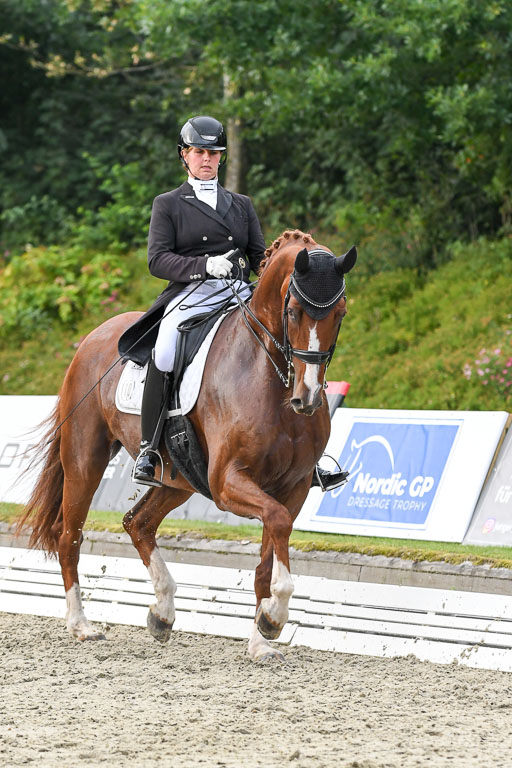 Anakenenhof    Dressur  25.08.2023 | Anakenenhof Prfg 3_434 