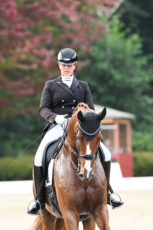Anakenenhof    Dressur  25.08.2023 | Anakenenhof Prfg 3_437 