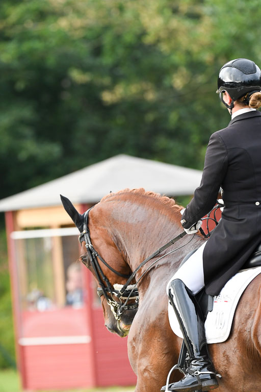 Anakenenhof    Dressur  25.08.2023 | Anakenenhof Prfg 3_438 