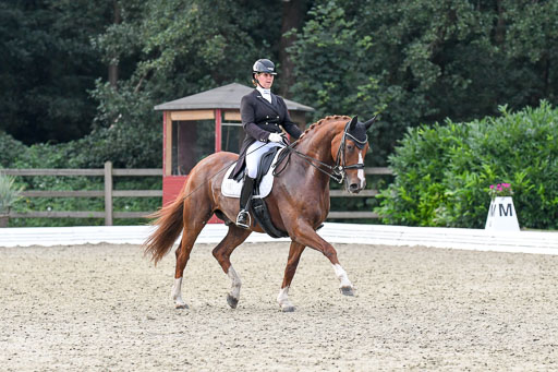 Anakenenhof    Dressur  25.08.2023 | Anakenenhof Prfg 3_440 