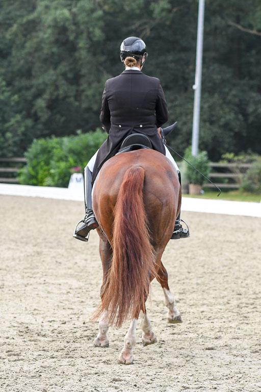 Anakenenhof    Dressur  25.08.2023 | Anakenenhof Prfg 3_443 