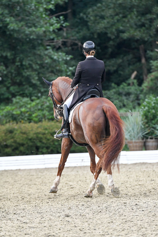Anakenenhof    Dressur  25.08.2023 | Anakenenhof Prfg 3_445 