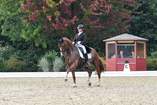 Anakenenhof    Dressur  25.08.2023 | Anakenenhof Prfg 3_447 