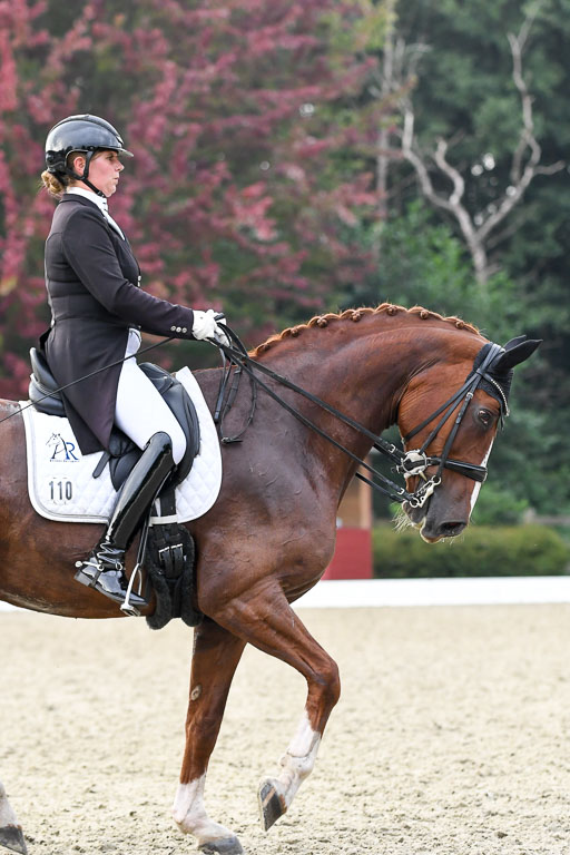 Anakenenhof    Dressur  25.08.2023 | Anakenenhof Prfg 3_449 