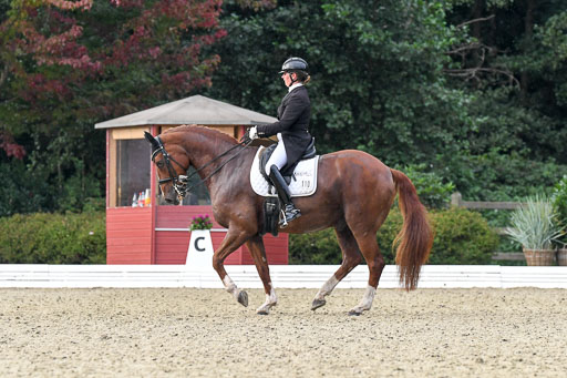 Anakenenhof    Dressur  25.08.2023 | Anakenenhof Prfg 3_451 