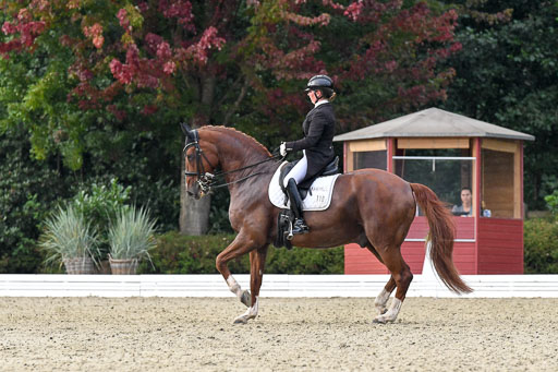 Anakenenhof    Dressur  25.08.2023 | Anakenenhof Prfg 3_453 