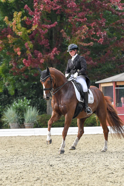 Anakenenhof    Dressur  25.08.2023 | Anakenenhof Prfg 3_455 