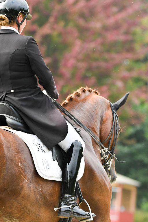 Anakenenhof    Dressur  25.08.2023 | Anakenenhof Prfg 3_456 