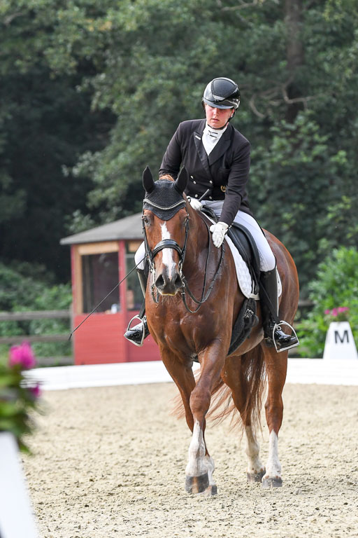 Anakenenhof    Dressur  25.08.2023 | Anakenenhof Prfg 3_457 