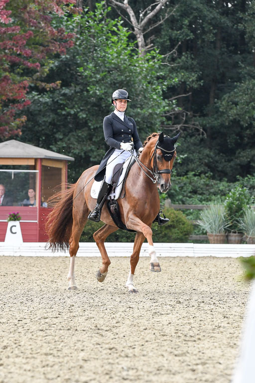 Anakenenhof    Dressur  25.08.2023 | Anakenenhof Prfg 3_459 