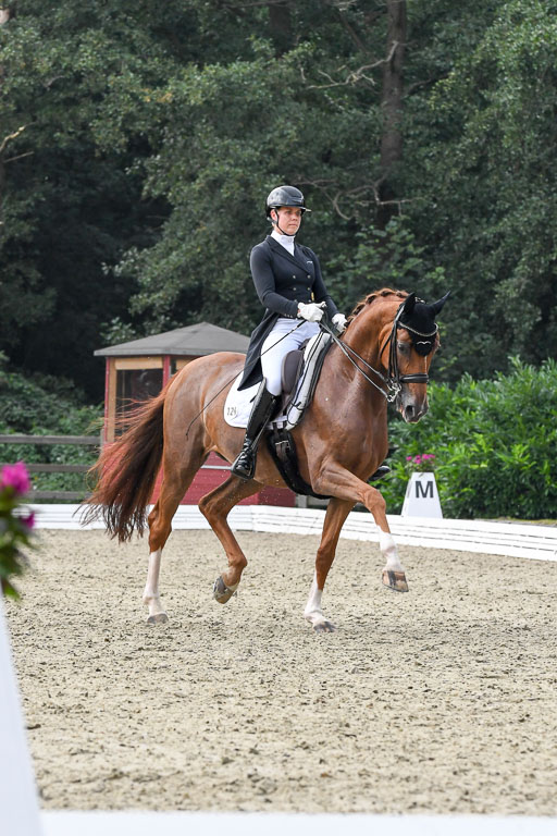 Anakenenhof    Dressur  25.08.2023 | Anakenenhof Prfg 3_460 