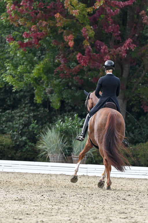 Anakenenhof    Dressur  25.08.2023 | Anakenenhof Prfg 3_464 