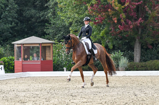 Anakenenhof    Dressur  25.08.2023 | Anakenenhof Prfg 3_466 