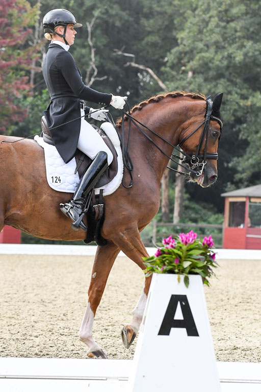 Anakenenhof    Dressur  25.08.2023 | Anakenenhof Prfg 3_467 