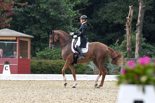 Anakenenhof    Dressur  25.08.2023 | Anakenenhof Prfg 3_469 