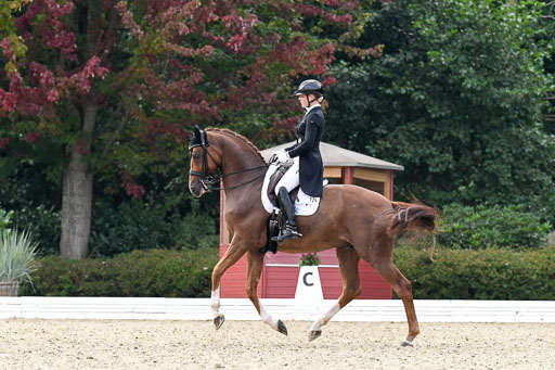 Anakenenhof    Dressur  25.08.2023 | Anakenenhof Prfg 3_471 