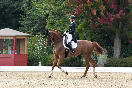 Anakenenhof    Dressur  25.08.2023 | Anakenenhof Prfg 3_472 
