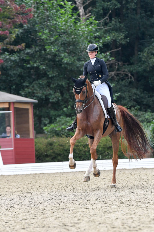 Anakenenhof    Dressur  25.08.2023 | Anakenenhof Prfg 3_477 