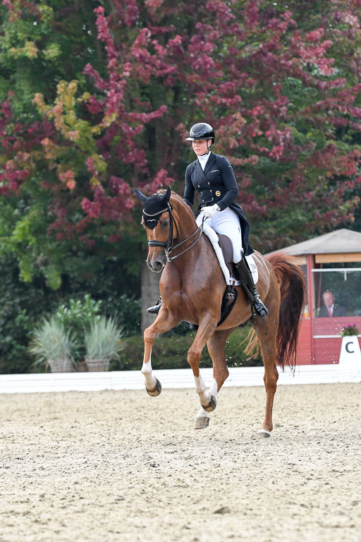 Anakenenhof    Dressur  25.08.2023 | Anakenenhof Prfg 3_478 