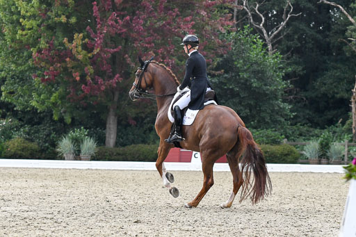 Anakenenhof    Dressur  25.08.2023 | Anakenenhof Prfg 3_479 